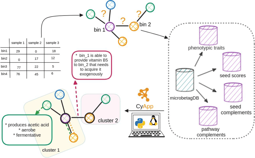 Fig1: Simplified overview of the microbetagDB-dependent version of microbetag.